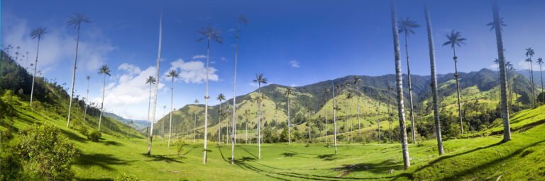 Tour Virtual 360 en Colombia: la guía completa 2026